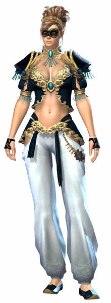 File:Embroidered armor norn female front.jpg