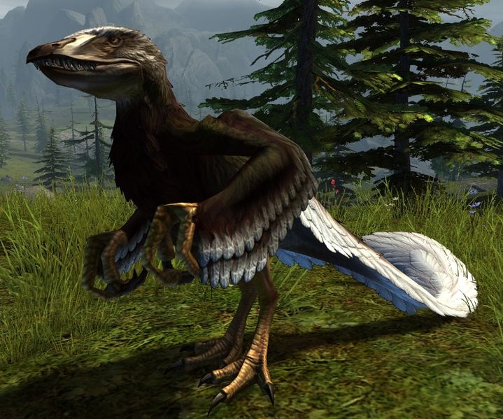 File:Eagle Raptor.jpg