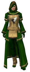 Guild Archmage armor norn female front.jpg
