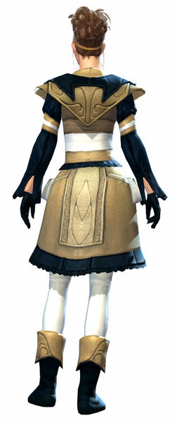 File:Country armor norn female back.jpg