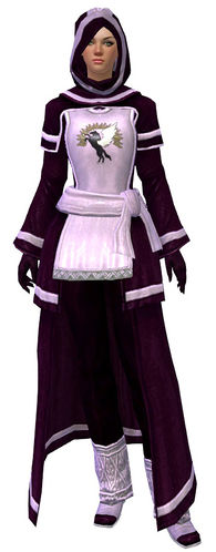 Guild Archmage armor human female front.jpg