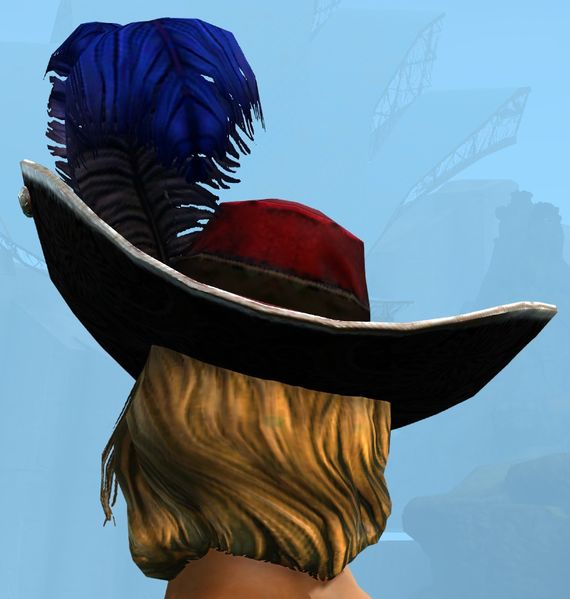 File:Swaggering Hat male human back.jpg