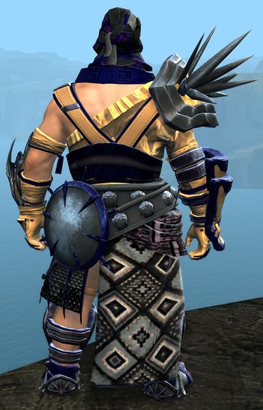 File:Spearmarshal's armor (heavy) norn male back.jpg