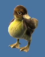 Mini Duckling.jpg