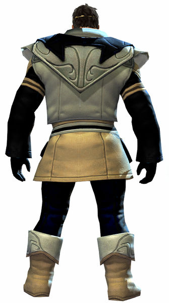 File:Country armor norn male back.jpg