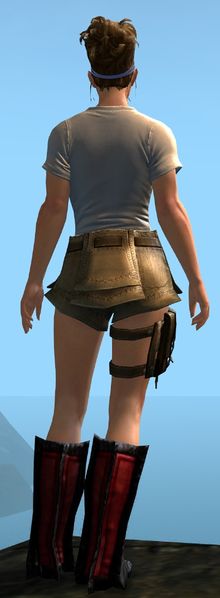 File:Heart of Thorns Emblem Clothing Outfit norn female back.jpg