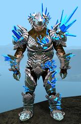 Blossoming Mist Shard armor (heavy) norn male front.jpg