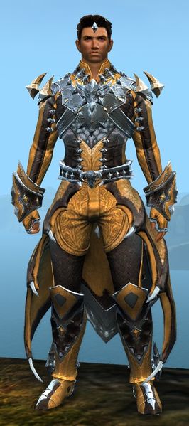 File:Perfected Envoy armor (light) human male front.jpg
