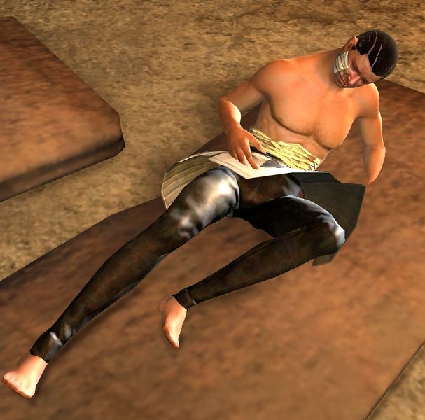 File:Wounded Seraph Soldier.jpg