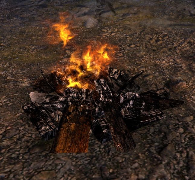 File:Campfire (Heretic Plain).jpg