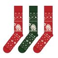Guild Wars 2 Holiday Socks.