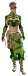 Vigil's Honor armor (light) norn female front.jpg