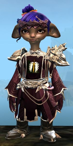 File:Ornate Guild armor (light) asura female front.jpg