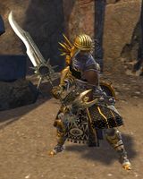 First Spear Kitur in armor.jpg