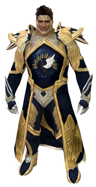 File:Guild Watchman armor norn male front.jpg