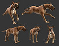 Krytan Drakehound renders in different poses.