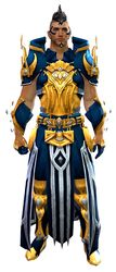 Sorcerer's armor human male front.jpg