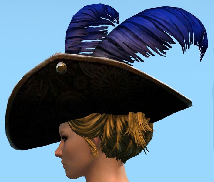 File:Swaggering Hat female norn side.jpg