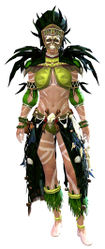 Tribal armor norn female front.jpg