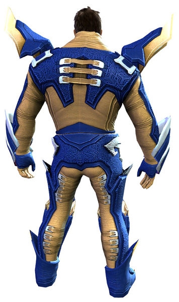 File:Profane armor norn male back.jpg