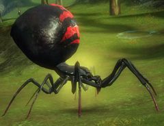 Champion Toxic Spider Queen.jpg