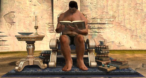Comfortable Reading Chair norn male.jpg
