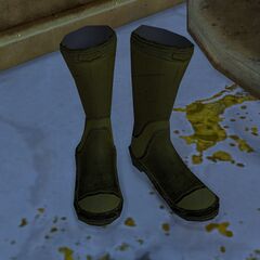 Boots (The Wizard's Tower).jpg