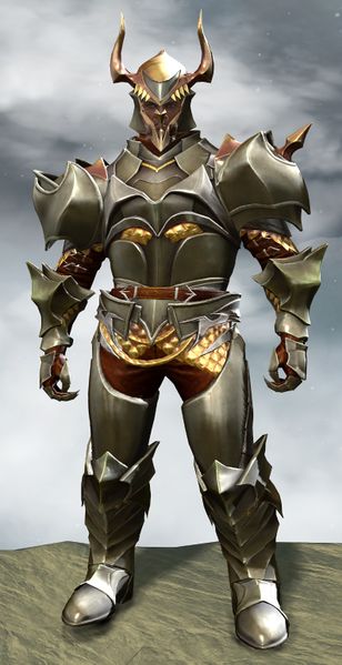 File:Elegy armor (heavy) norn male front.jpg