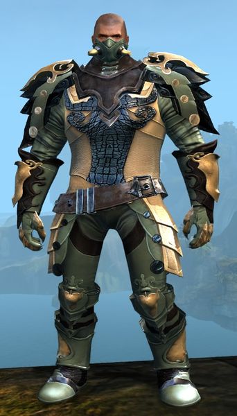File:Triumphant armor (medium) norn male front.jpg