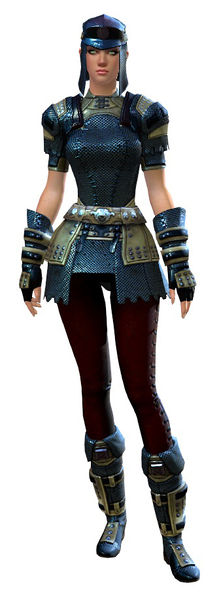 File:Chainmail armor human female front.jpg