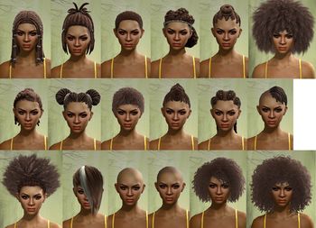 Human female hair styles 2.jpg