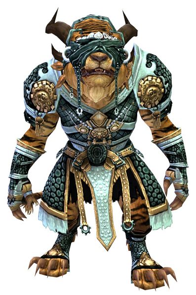 File:Magus armor charr male front.jpg