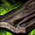 Ancient Wood Plank.png