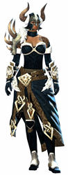 Braham's armor norn female front.jpg