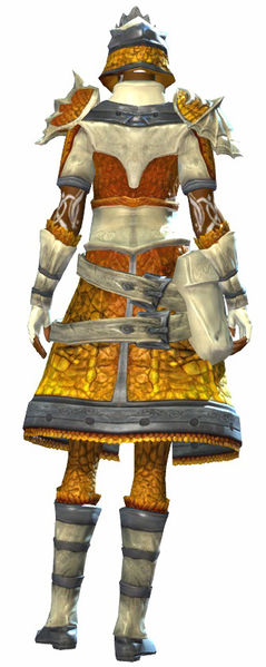 File:Emblazoned armor norn female back.jpg