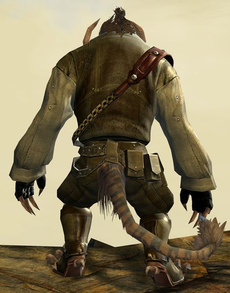 File:Layered Vest Clothing Outfit charr male back.jpg