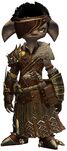 Wandering Weapon Master Outfit asura male front.jpg