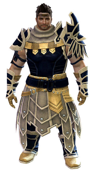 File:Vigil's Honor armor (medium) norn male front.jpg