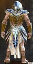 Pharaoh's Regalia Outfit norn male back.jpg