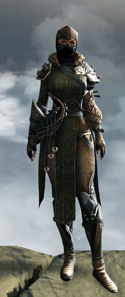 File:Rox's Pathfinder Outfit norn female front.jpg