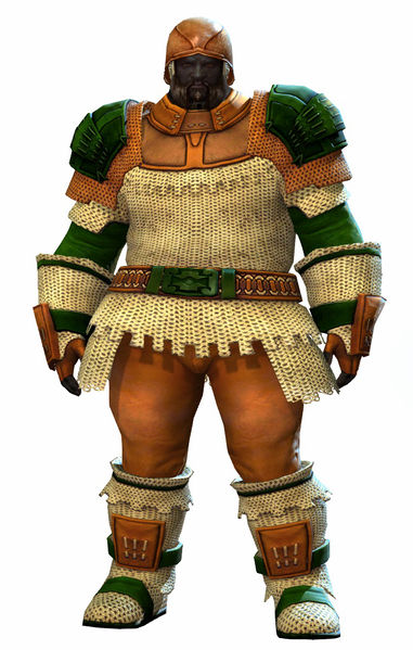 File:Chain armor norn male front.jpg