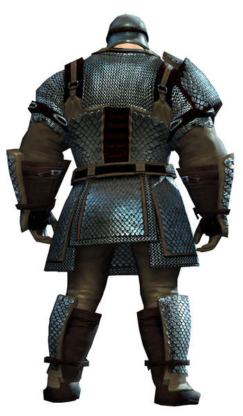 File:Heavy Scale armor norn male back.jpg