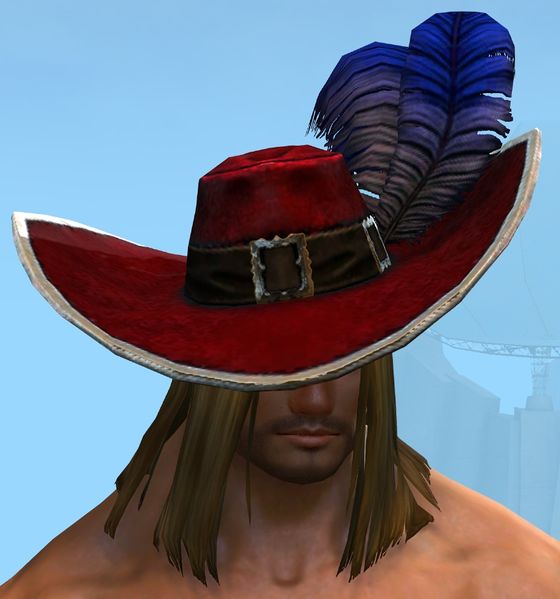 File:Swaggering Hat male norn front.jpg