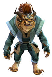 Country armor charr male front.jpg