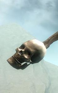 Skull (bundle).jpg