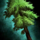 Typical Drizzlewood Coast Tree Token.png