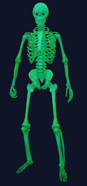 File:Mini Spooky Skeleton night.jpg