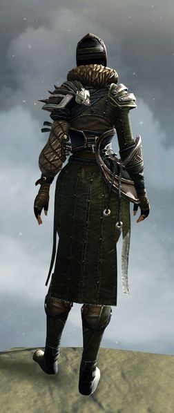 File:Rox's Pathfinder Outfit norn female back.jpg