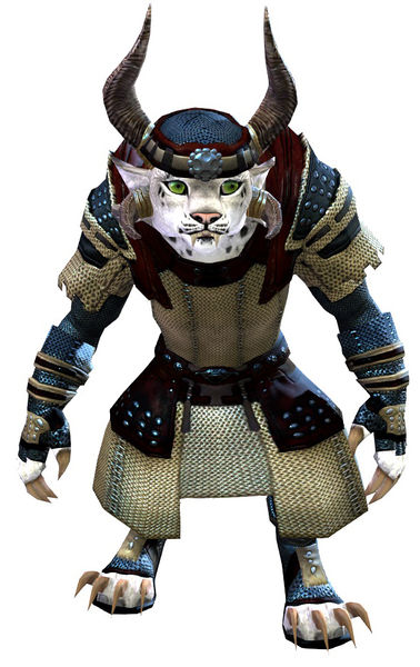 File:Chainmail armor charr female front.jpg