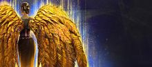 Golden Feather Wings Glider Combo banner.jpg